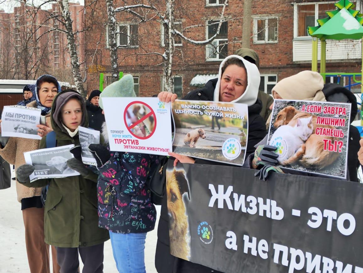 Фото Триста новосибирцев вышли на митинг против закона об эвтаназии бездомных животных 4